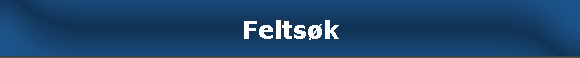 Feltsøk